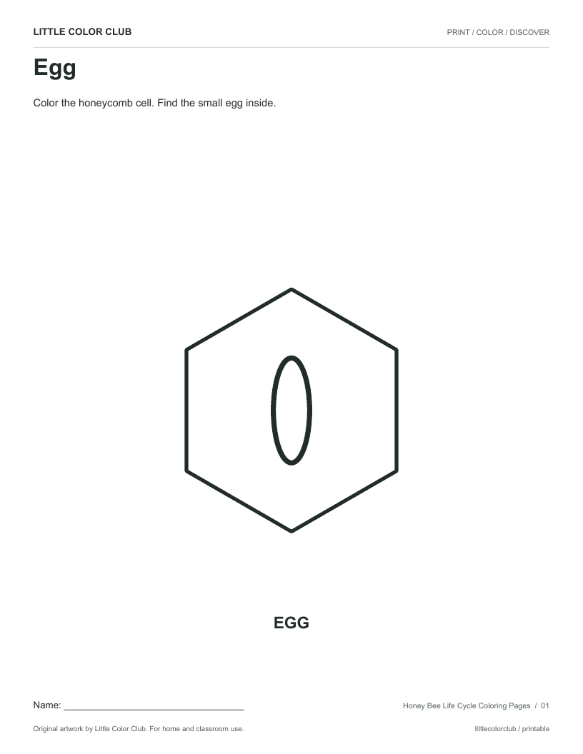Egg printable sheet preview