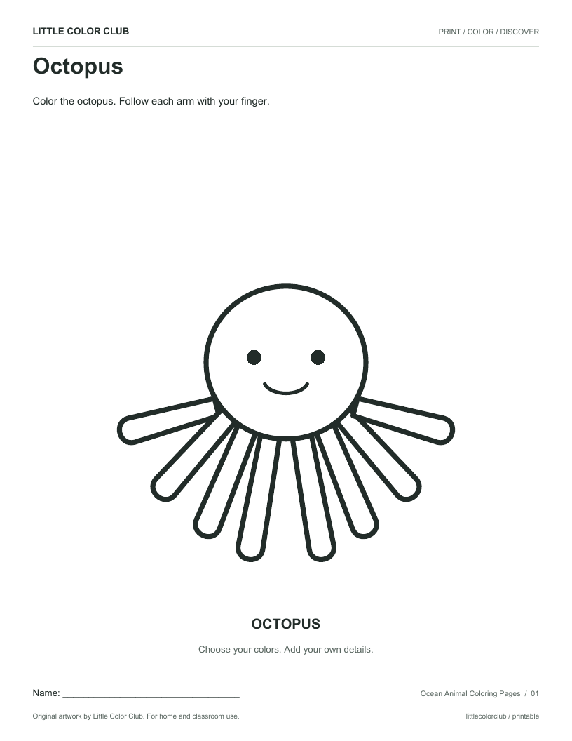 Octopus sheet from Ocean animals